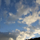 normal_19062011regenbrlaktivnews__45_.JPG