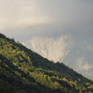 normal_19062011regenbrlaktivnews__52_.JPG