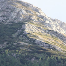 normal_19062011regenbrlaktivnews__53_.JPG