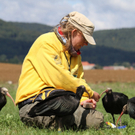 Bilder vom Waldrapp