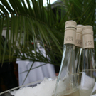 IMG_0374_jpg-1308595666