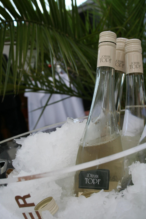 IMG_0374_jpg-1308595666