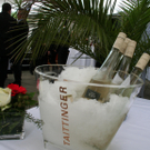 IMG_0375_jpg-1308595674