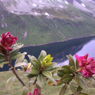 Foto0089.jpg
