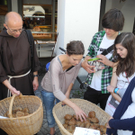 DSCN9221_JPG-1308652791