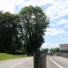 IMG_1409.JPG