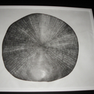 Bild 125_jpg-1308690007