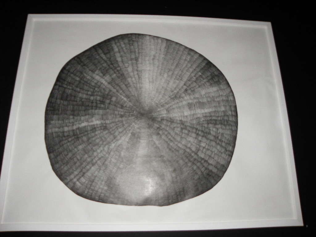 Bild 125_jpg-1308690007