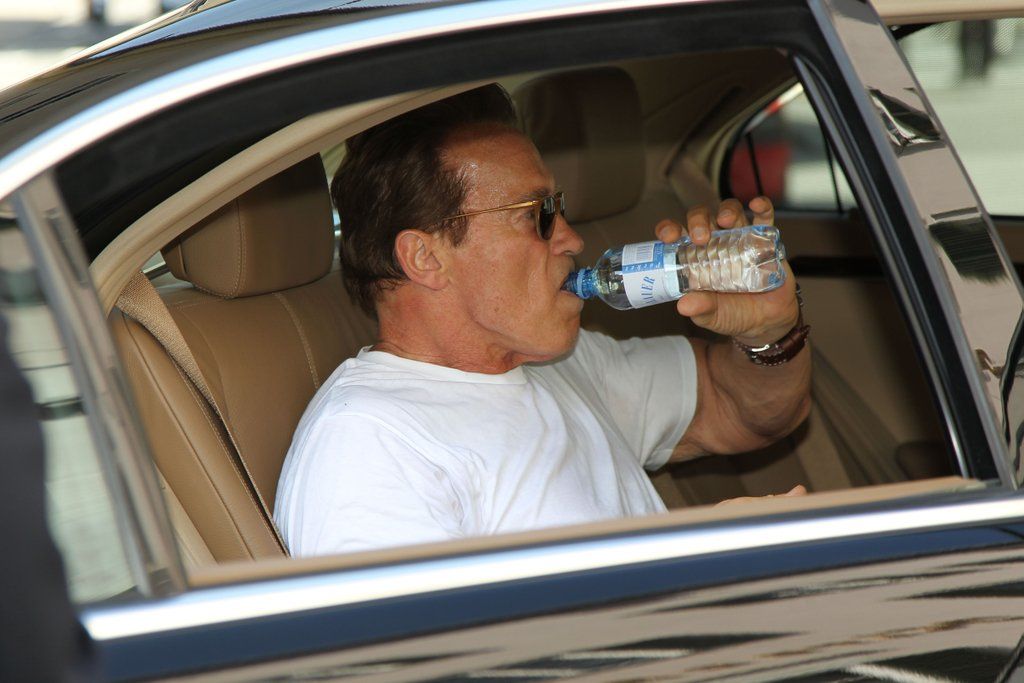 Schwarzenegger22061101.jpg