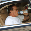 Schwarzenegger22061101.jpg