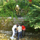 IMG_2440.JPG