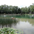 DSC00285_JPG-1308760095