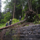 normal_220611unwettersfaktivnews006.jpg