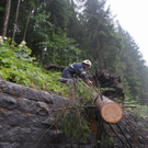 normal_220611unwettersfaktivnews010.jpg