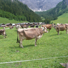 P1050738.JPG