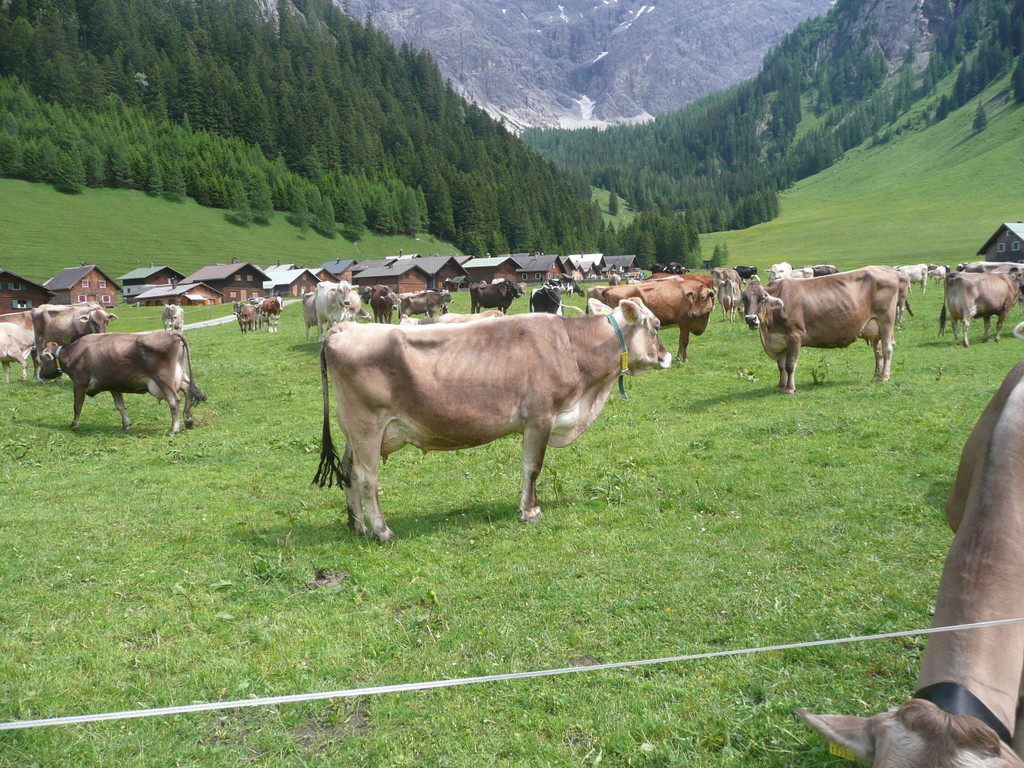 P1050738.JPG