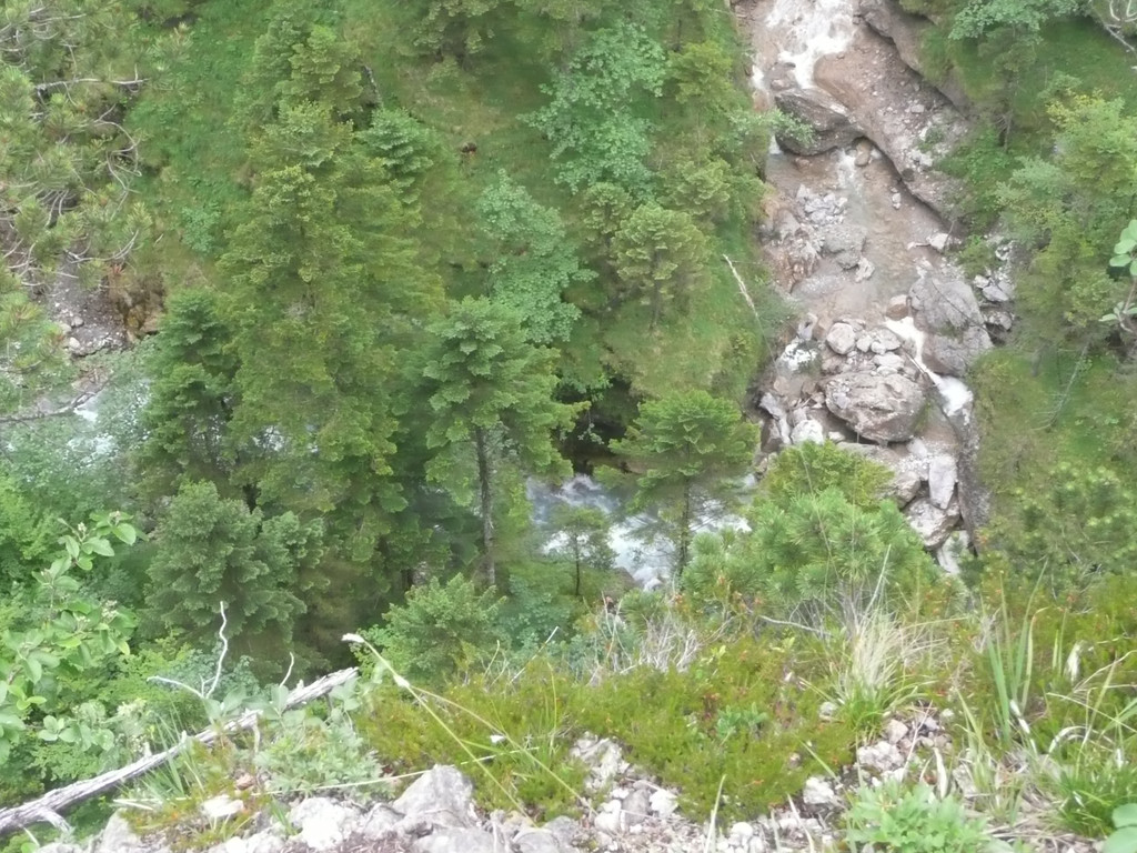 P1050763.JPG