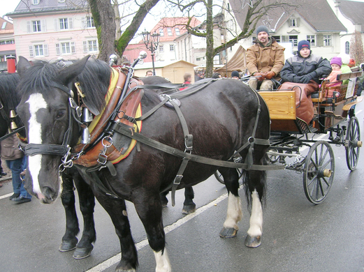 Markt7bKutsche.jpg