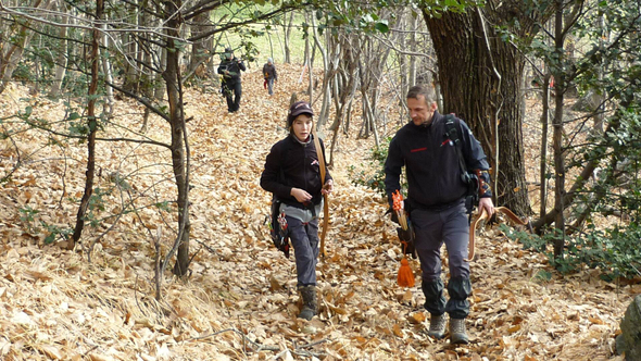 Monte_Ceneri2.jpg