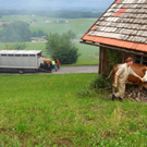 22062011brandmichelbeuernzsaktivnews_1818.jpg
