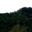 23062011wettersbgwm2aktivnews_06.JPG