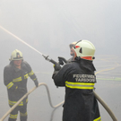 normal_22062011brandtarsdorfaktivnewshs038.jpg
