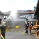 normal_22062011brandtarsdorfaktivnewshs089.jpg