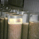 Bild 564_jpg-1308858348