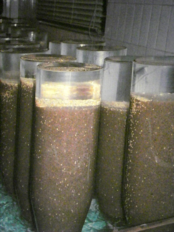 Bild 564_jpg-1308858348