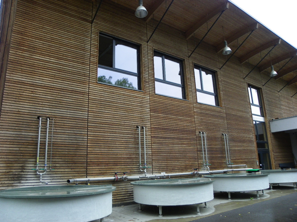 Bild 525_jpg-1308858484