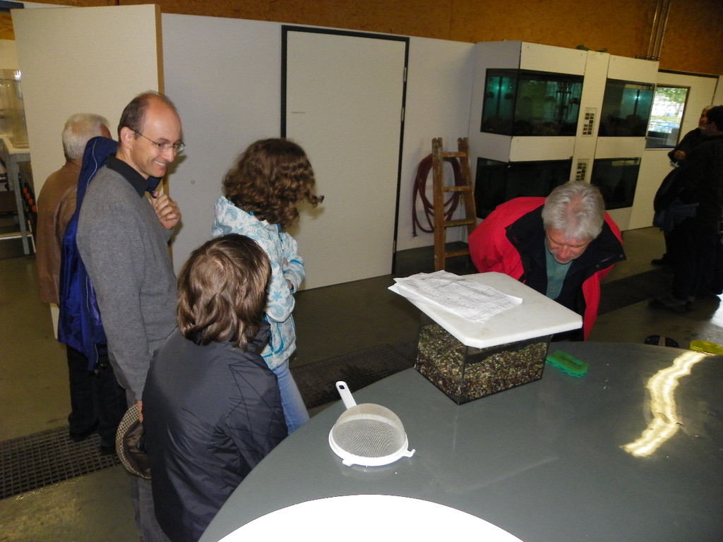 Bild 581_jpg-1308858420