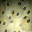 Bild 565_jpg-1308858360