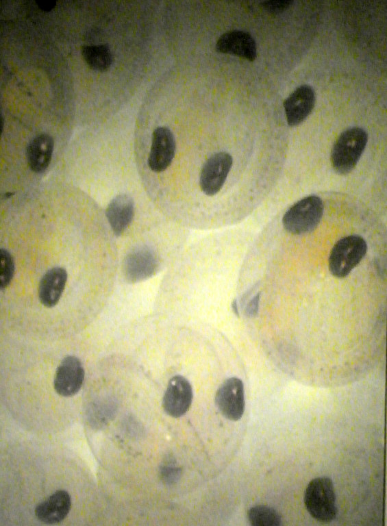 Bild 565_jpg-1308858360