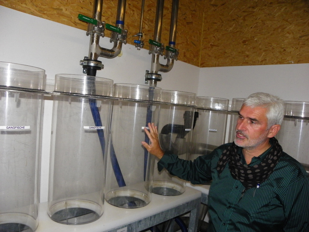 Bild 579_jpg-1308858396