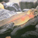 Bild 566_jpg-1308858373