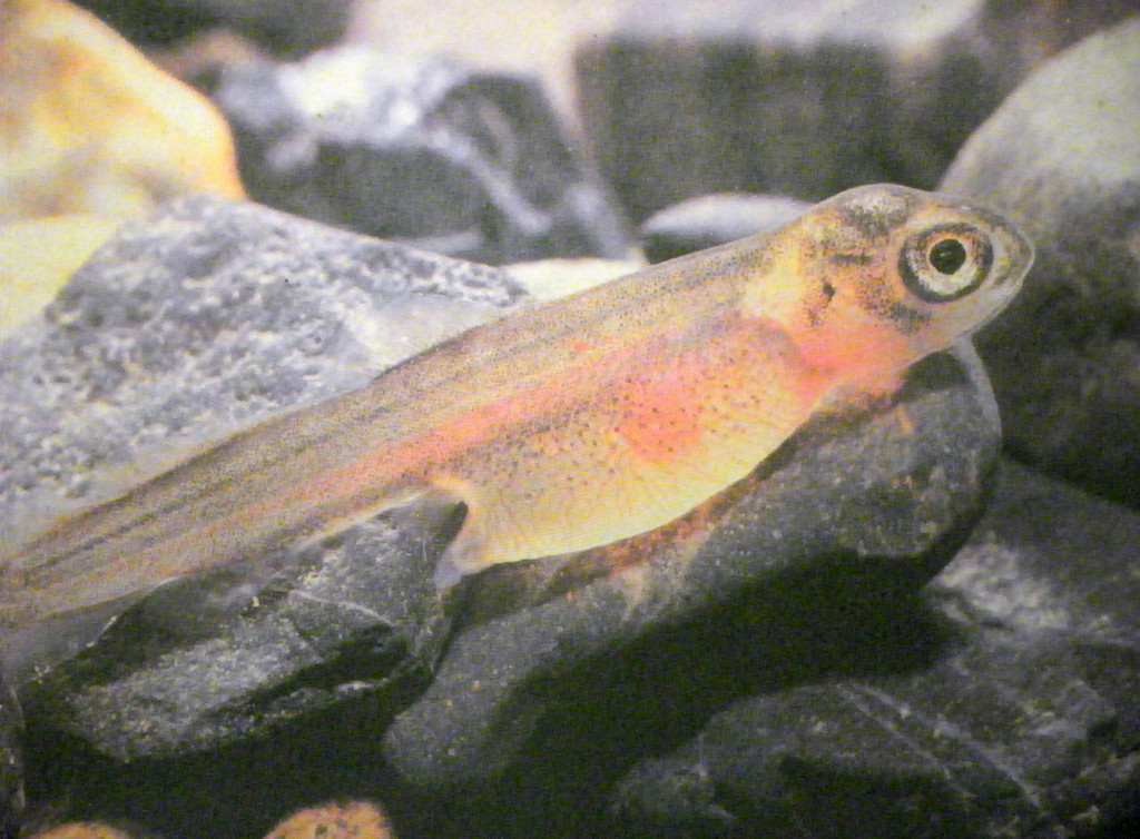 Bild 566_jpg-1308858373