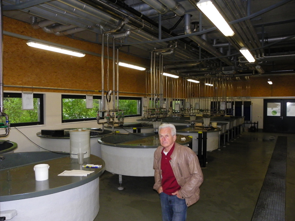 Bild 594_jpg-1308858439