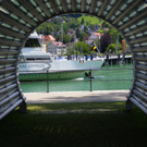 111_5051_JPG-1308866136