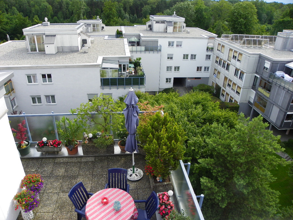 111_5229_JPG-1308868356