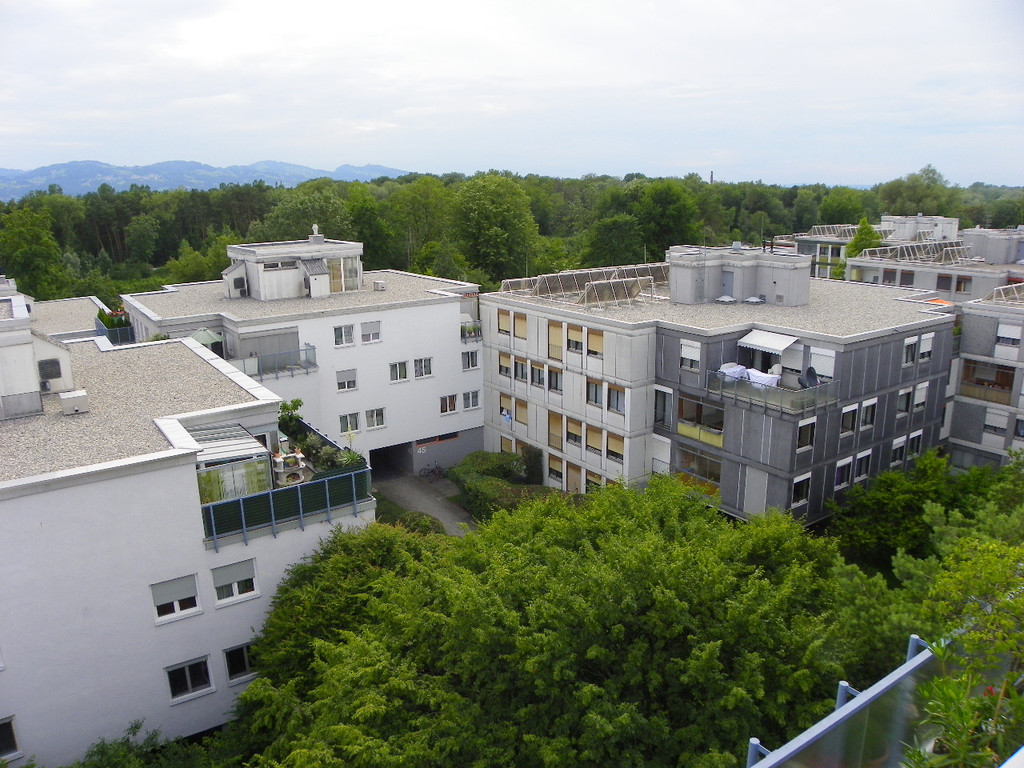 111_5233_JPG-1308868389