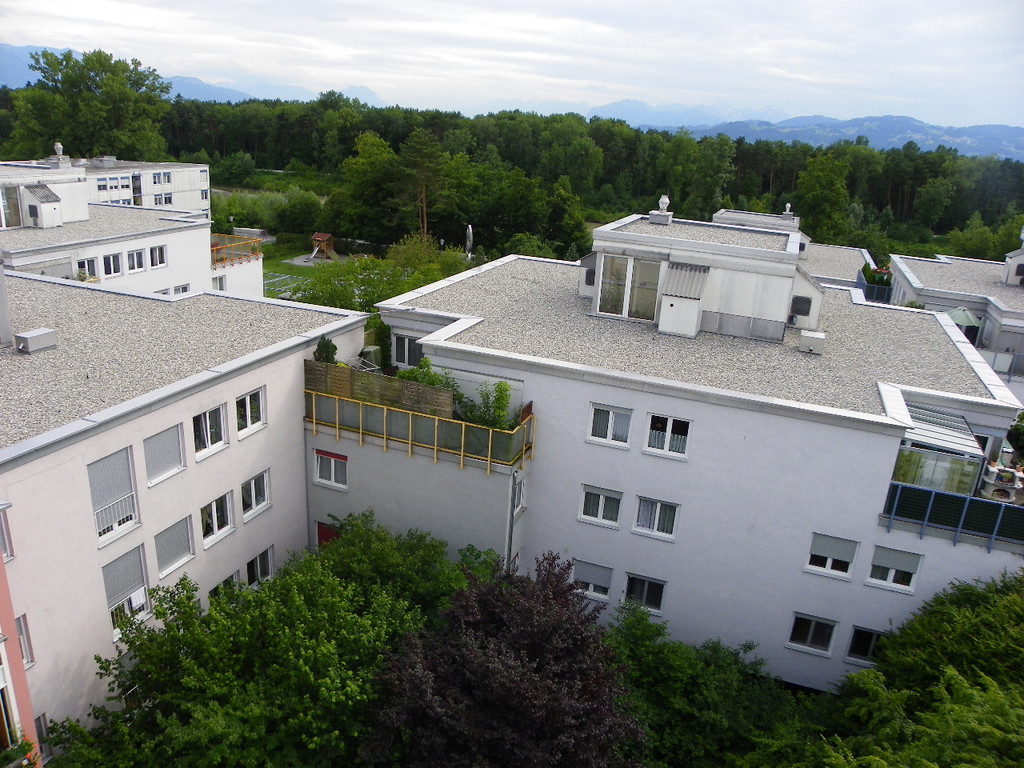 111_5232_JPG-1308868378