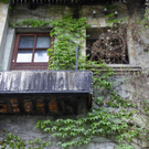 6_6_11 214_jpg-1308870282