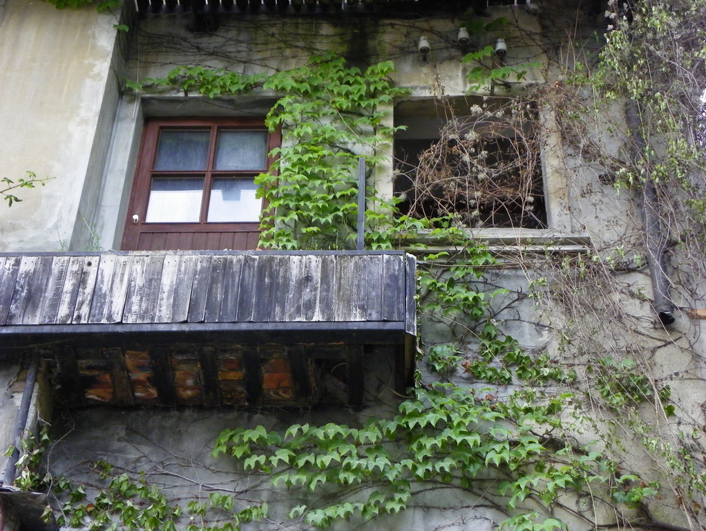 6_6_11 214_jpg-1308870282