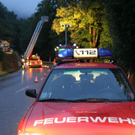 normal_23062011baumffaktivnews_066.jpg