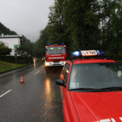 normal_23062011baumffaktivnews_090.jpg