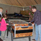 DSC_0195.JPG