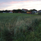 normal_23062011wtvubahngleisweibhausenaktivnews24.jpg