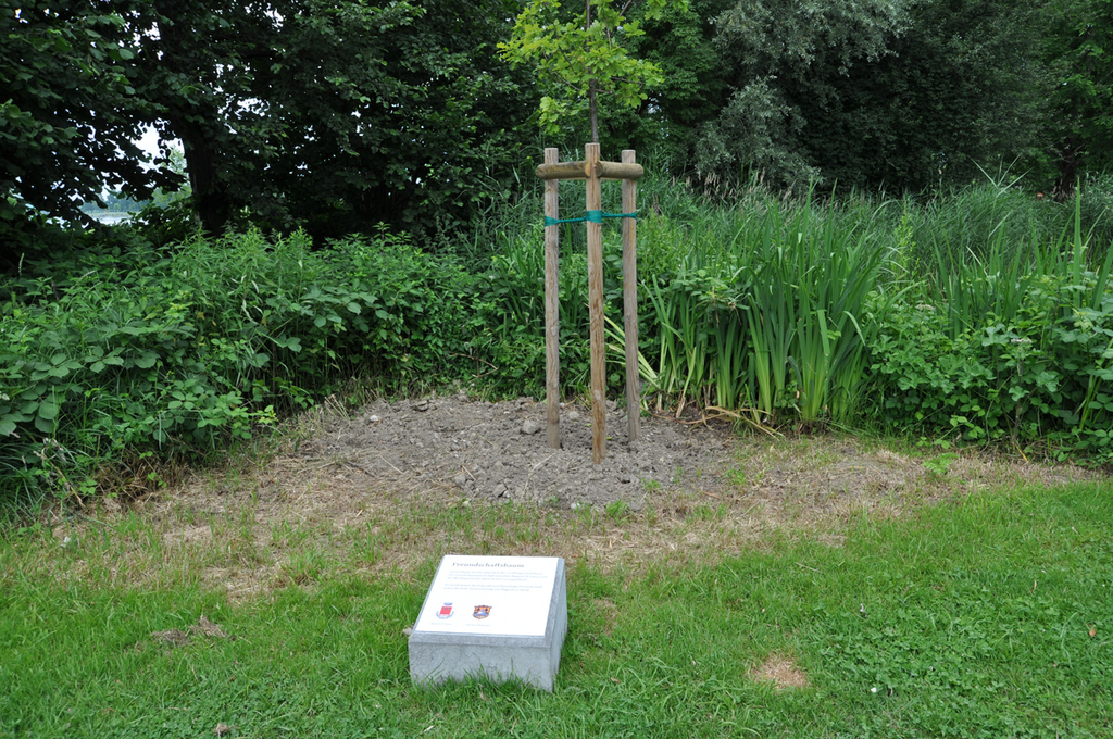 bagnolibaum_jpg-1308923982