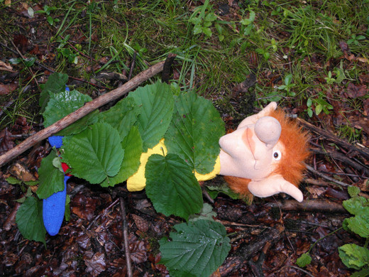 P6241025 - Kopie.JPG