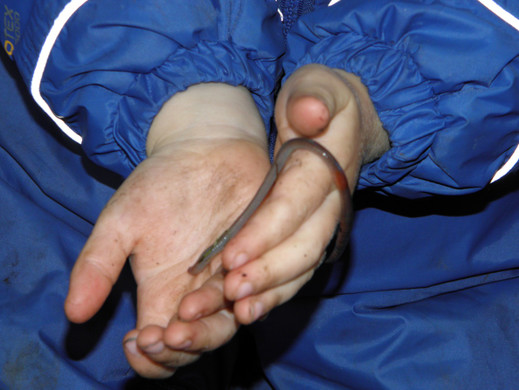 P6241020 - Kopie.JPG